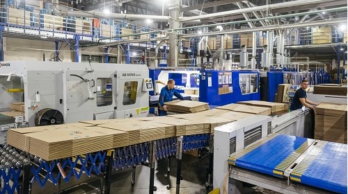 производство гофрированного картона