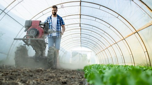 работник в теплице