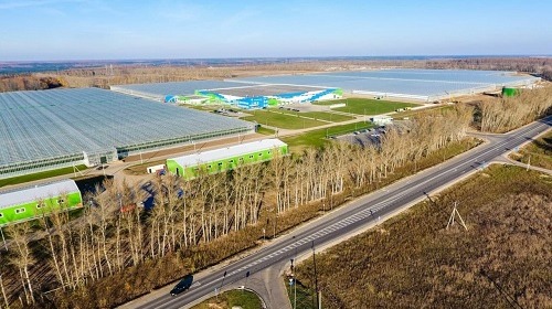 завод сжиженного газа